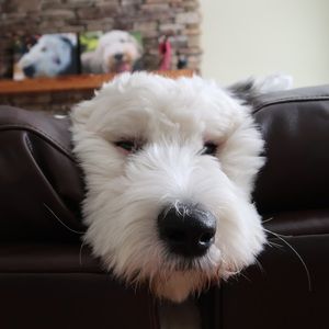 Meet your Posher, Sabrina